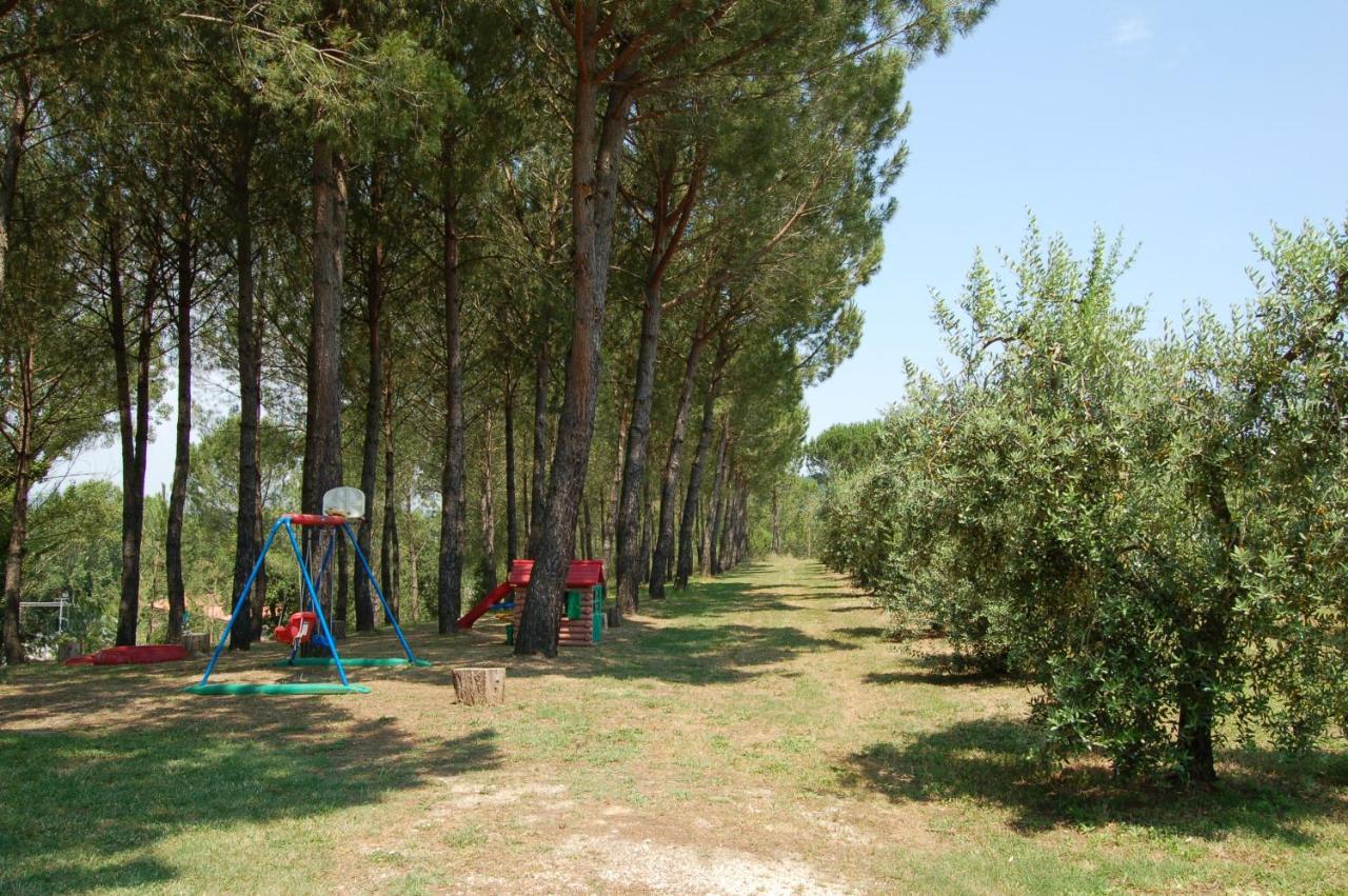 Agriturismo Il Selvino Terricciola Екстериор снимка
