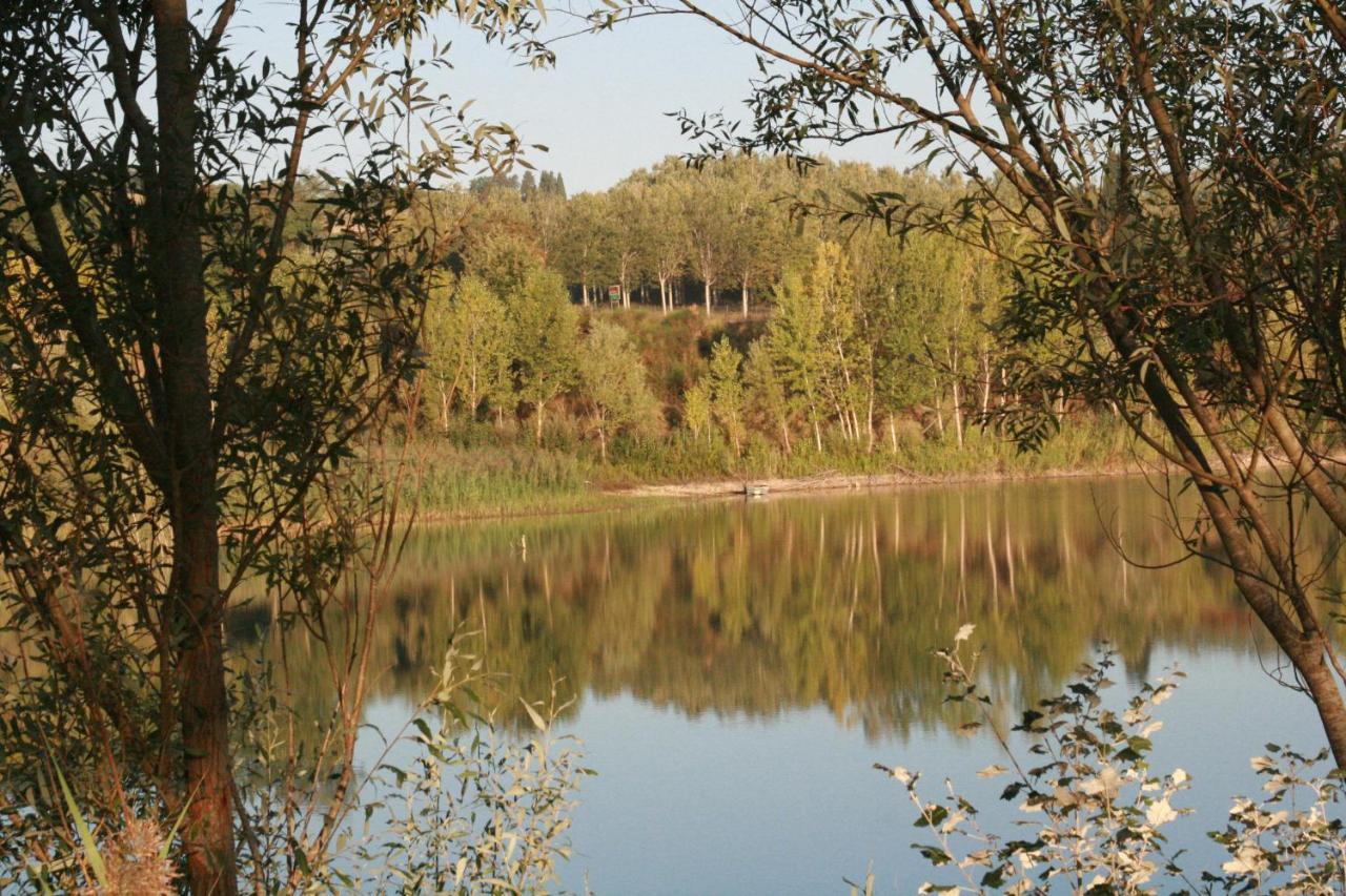 Agriturismo Il Selvino Terricciola Екстериор снимка