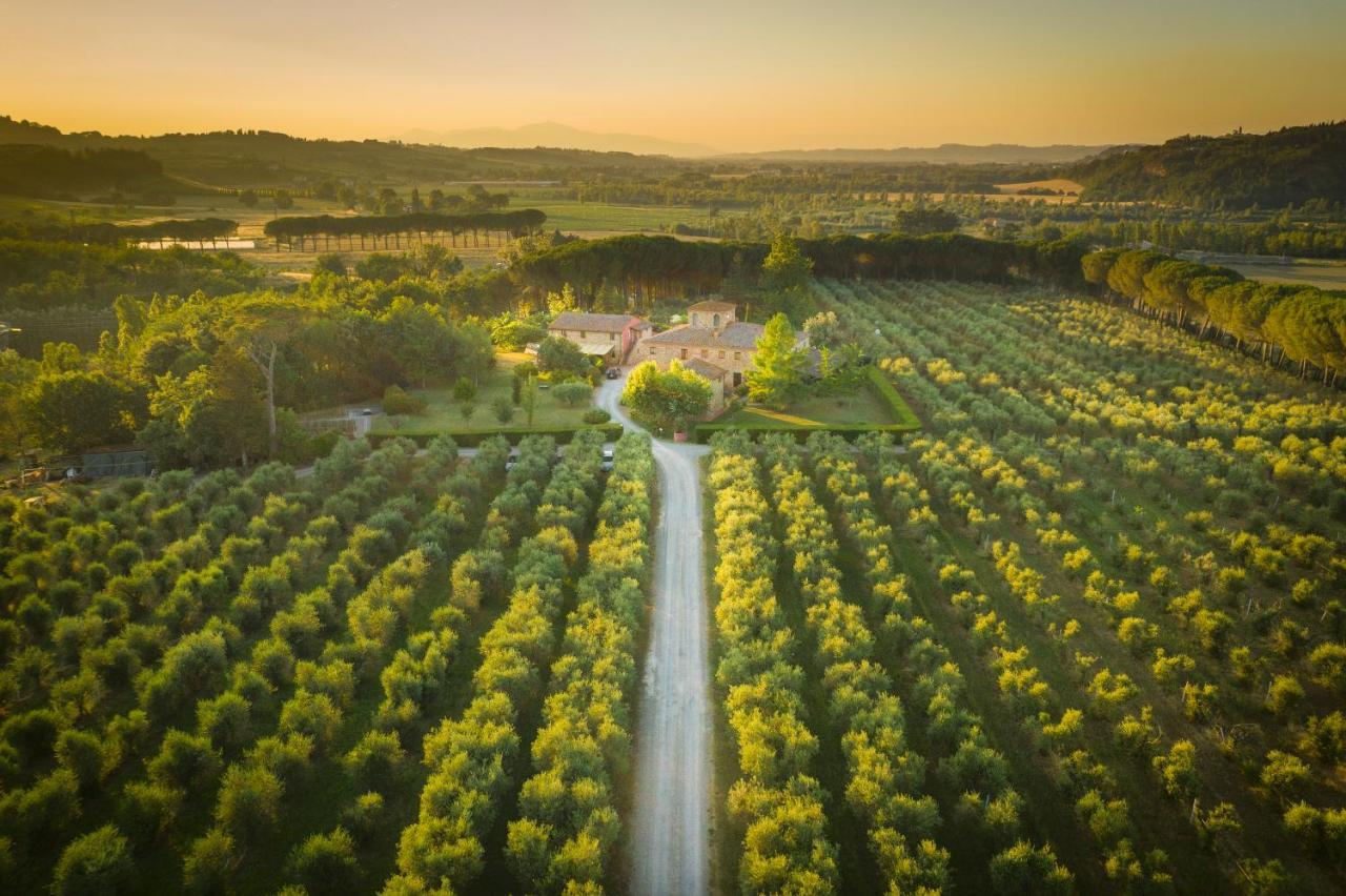 Agriturismo Il Selvino Terricciola Екстериор снимка